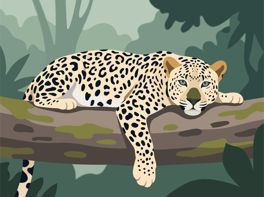 Clouded leopard resting in tree canopy, illustrating its arboreal camouflage