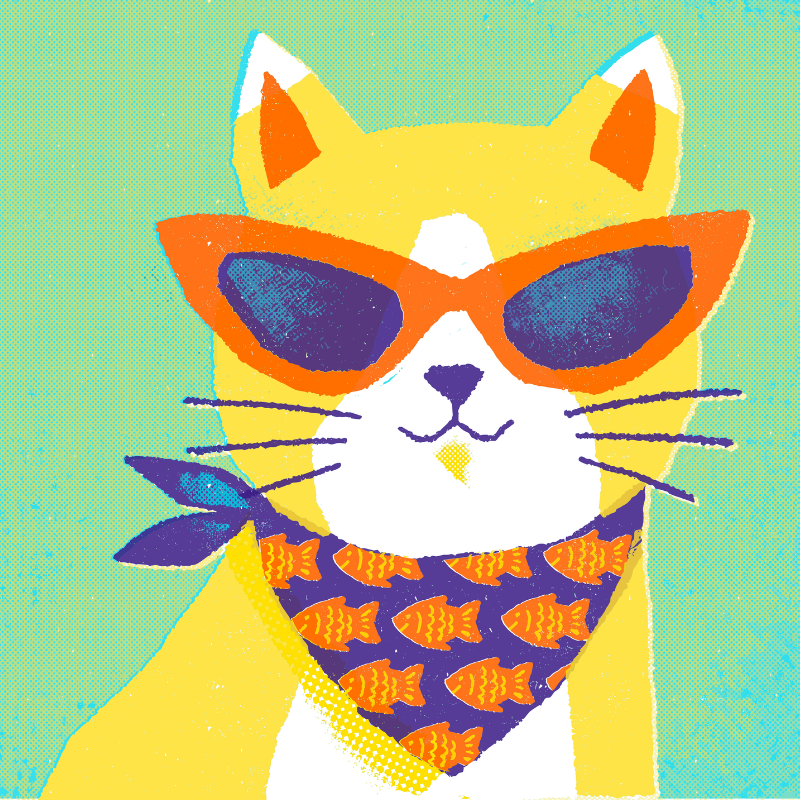 INTERNATIONAL CAT DAY